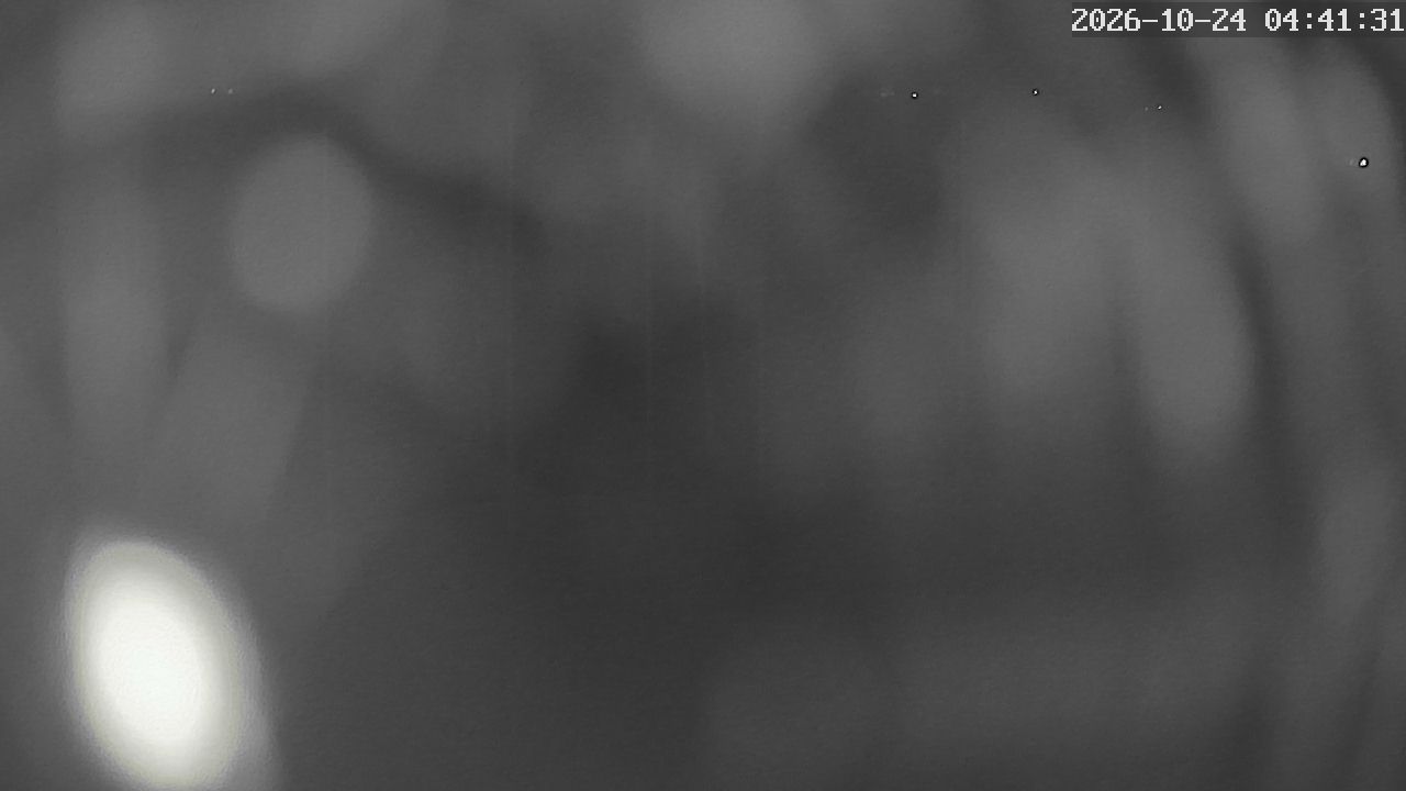 MRSV Bayern Webcam