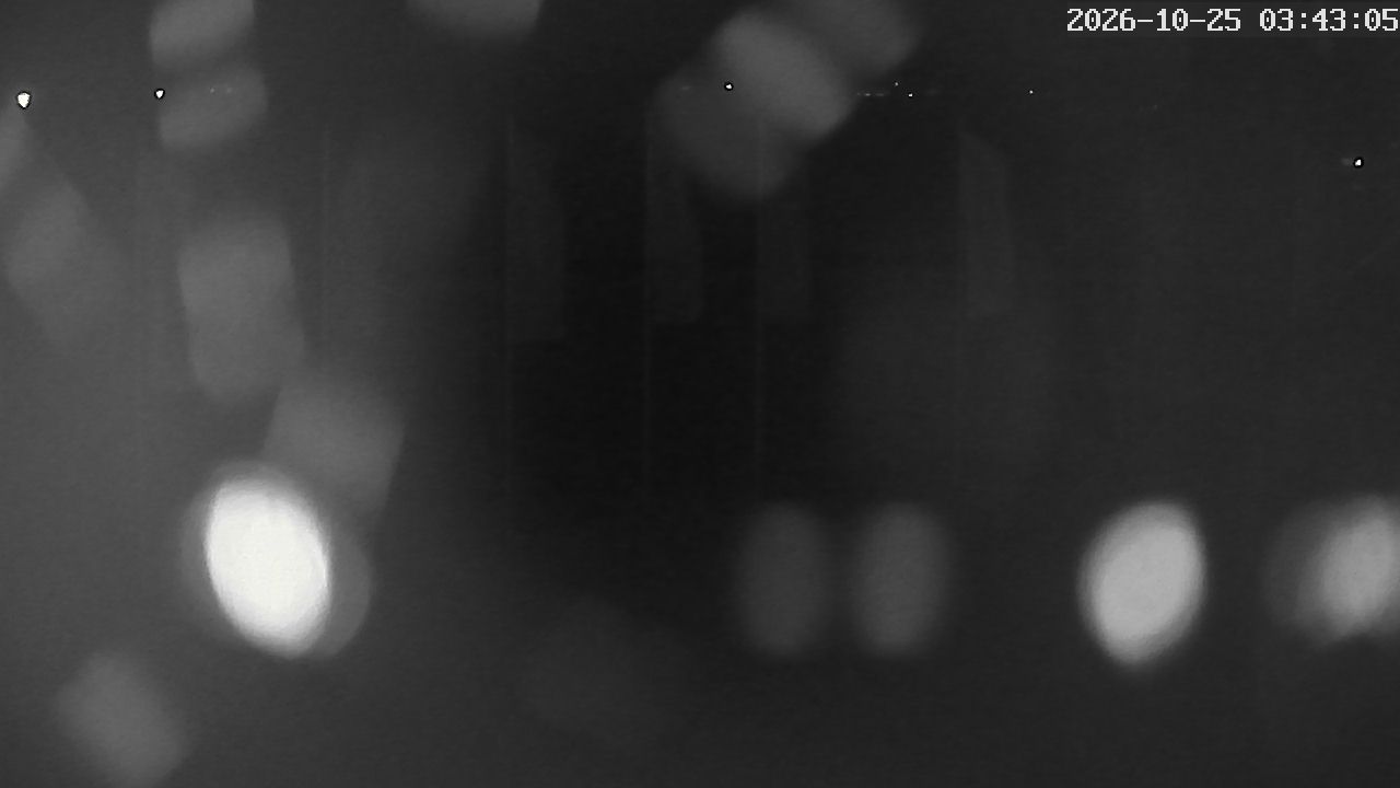MRSV Bayern Webcam