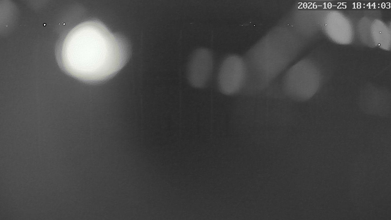 MRSV Bayern Webcam