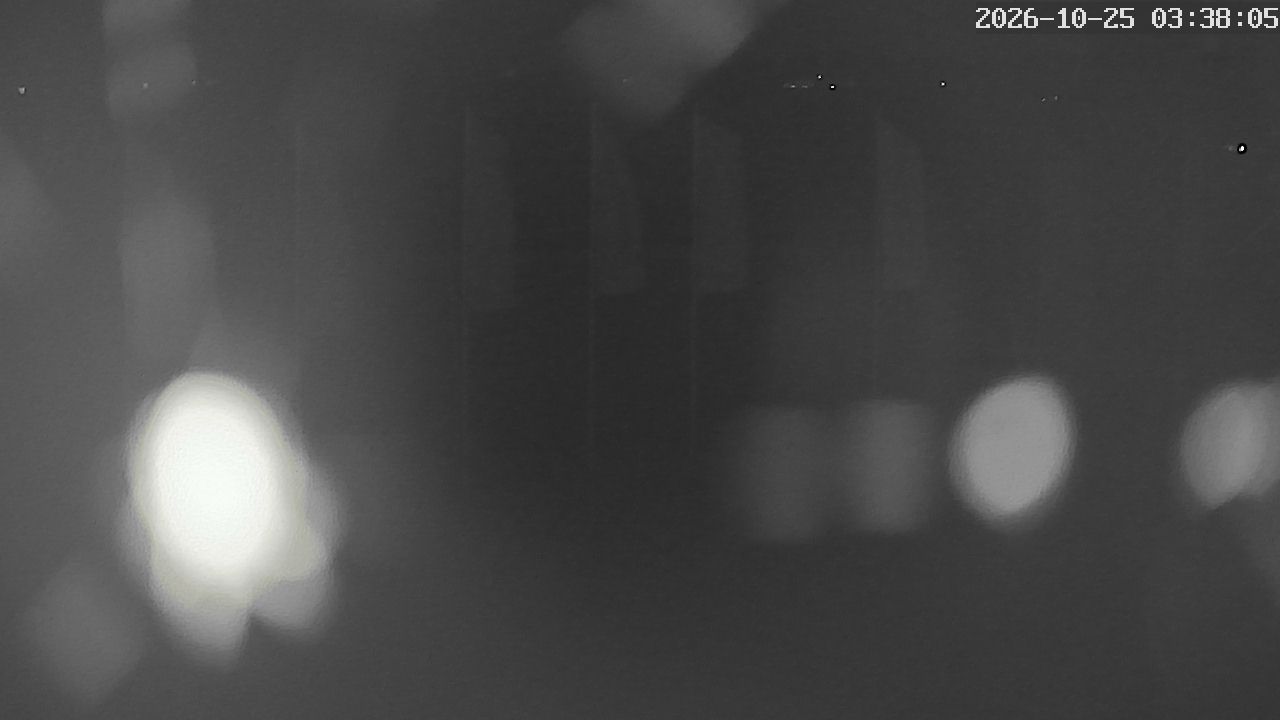 MRSV Bayern Webcam