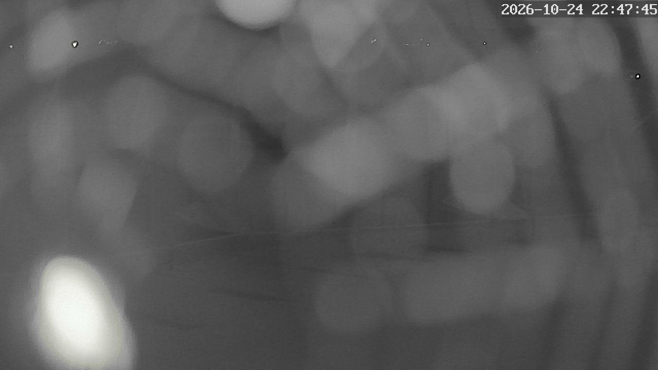 MRSV Bayern Webcam