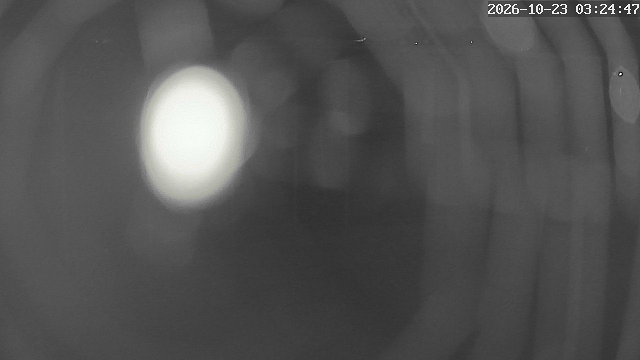 MRSV Bayern Webcam