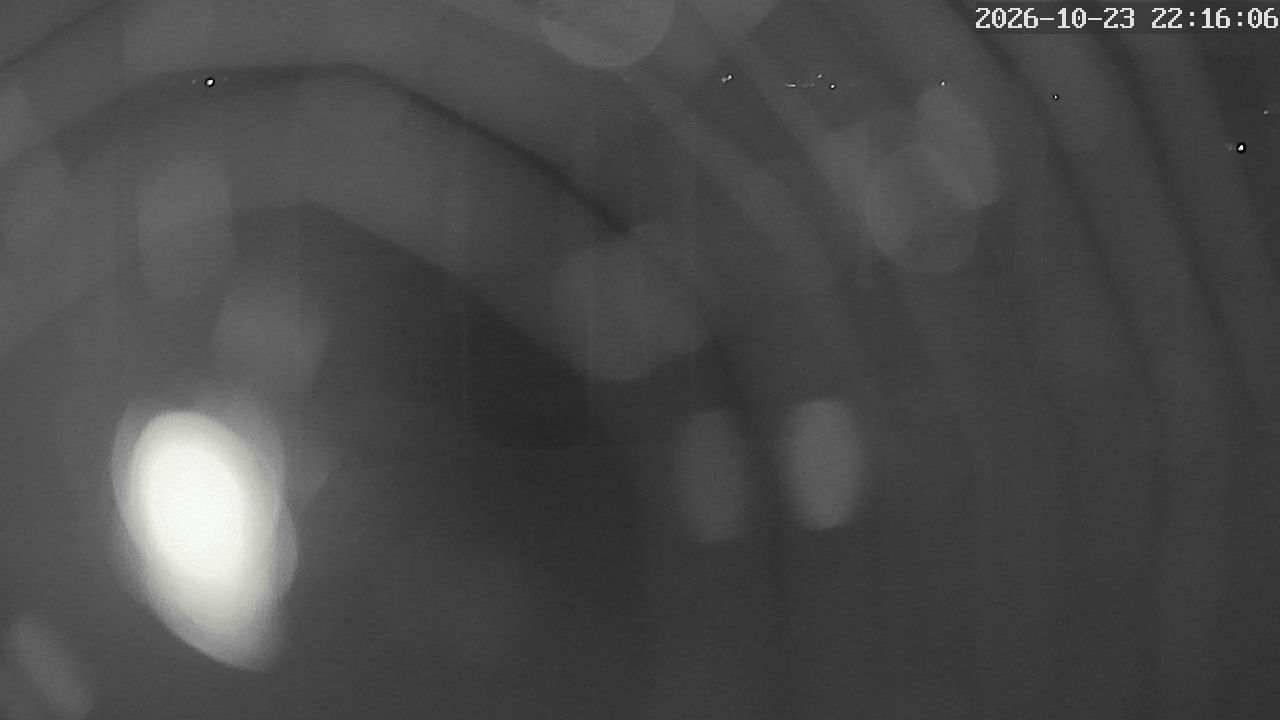 MRSV Bayern Webcam