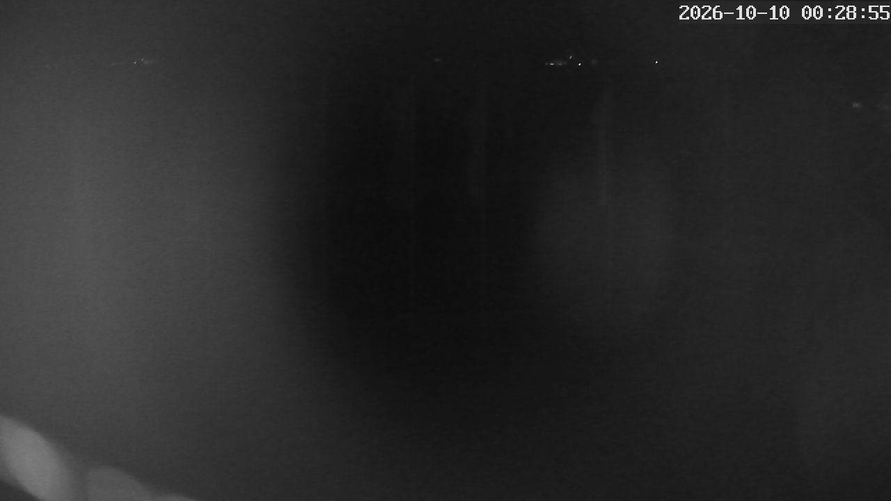 MRSV Bayern Webcam