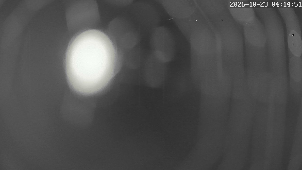 MRSV Bayern Webcam