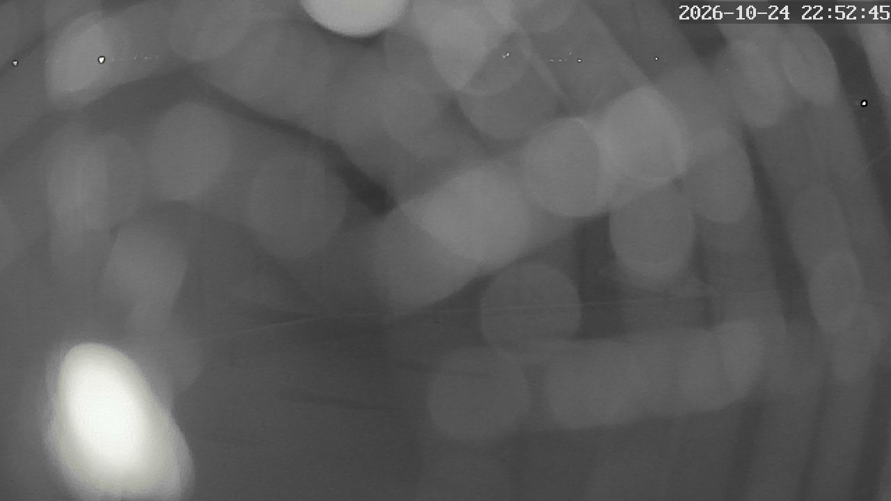 MRSV Bayern Webcam