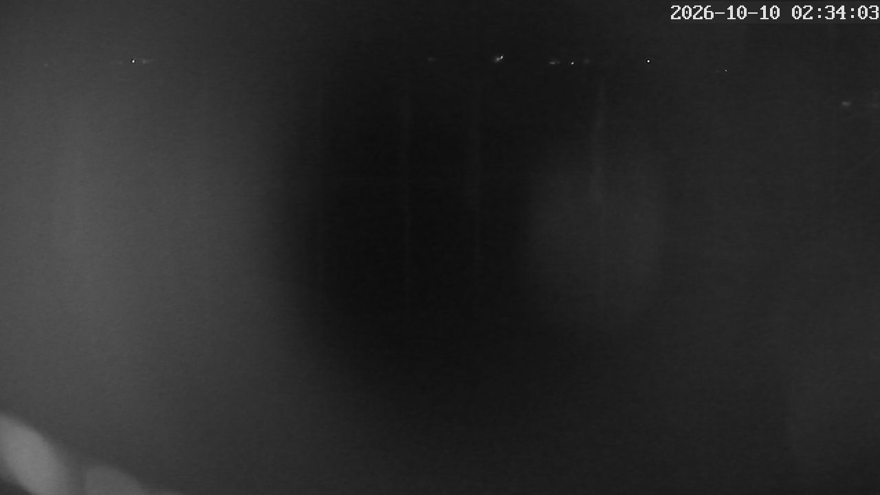MRSV Bayern Webcam