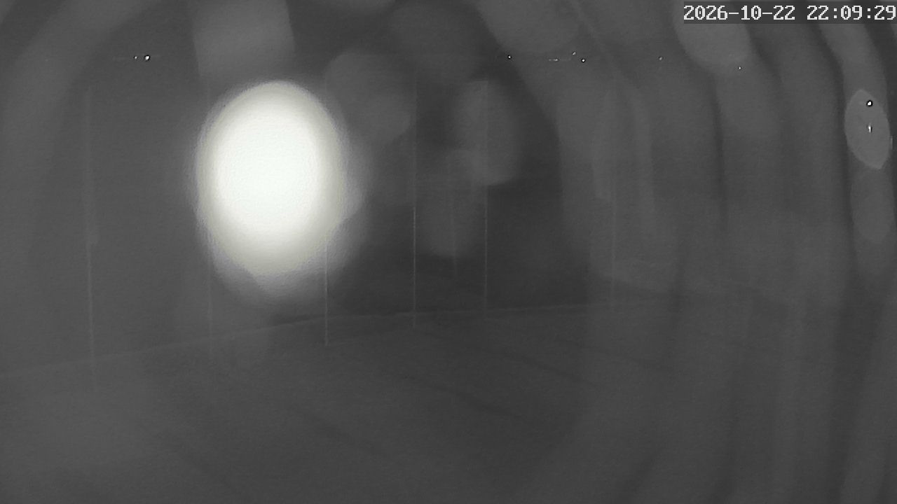 MRSV Bayern Webcam