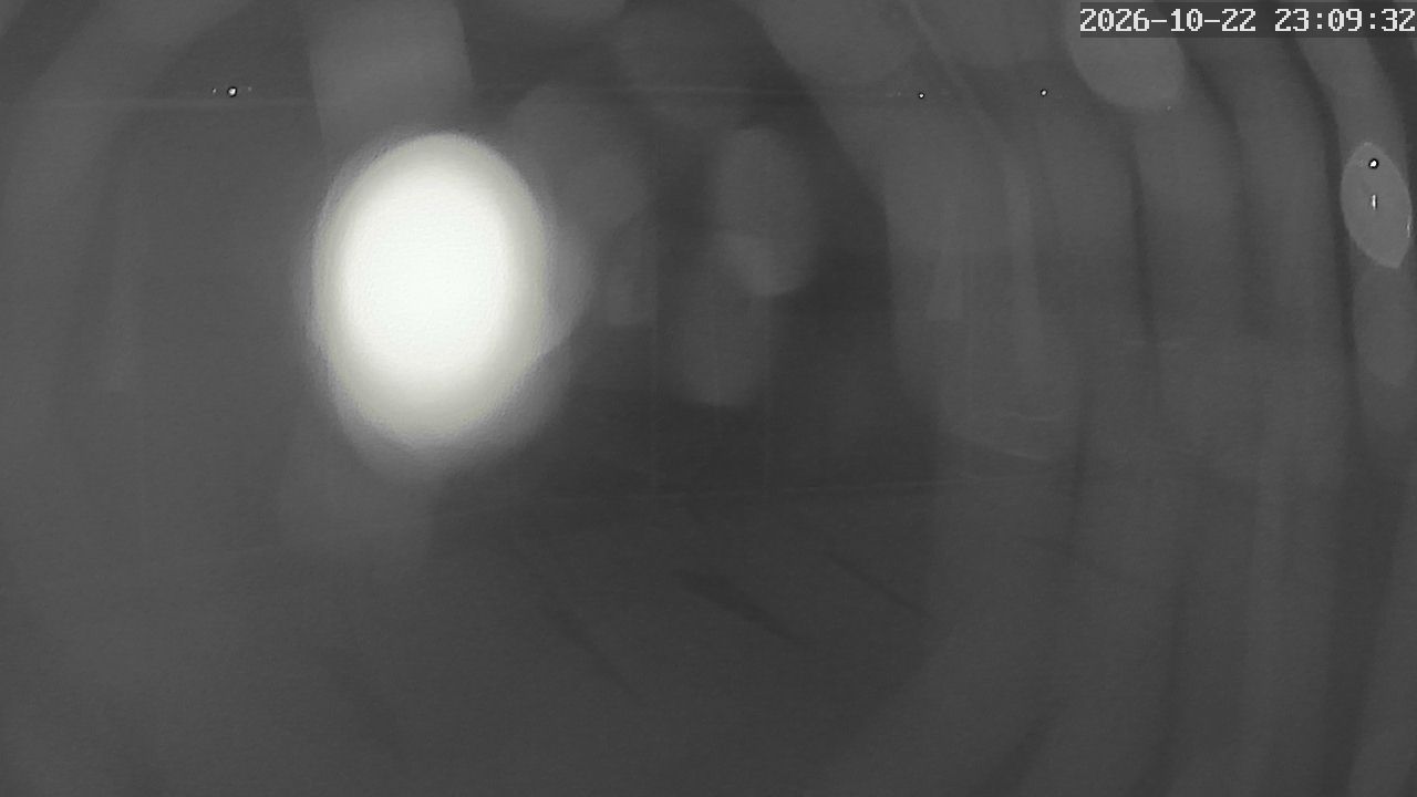 MRSV Bayern Webcam
