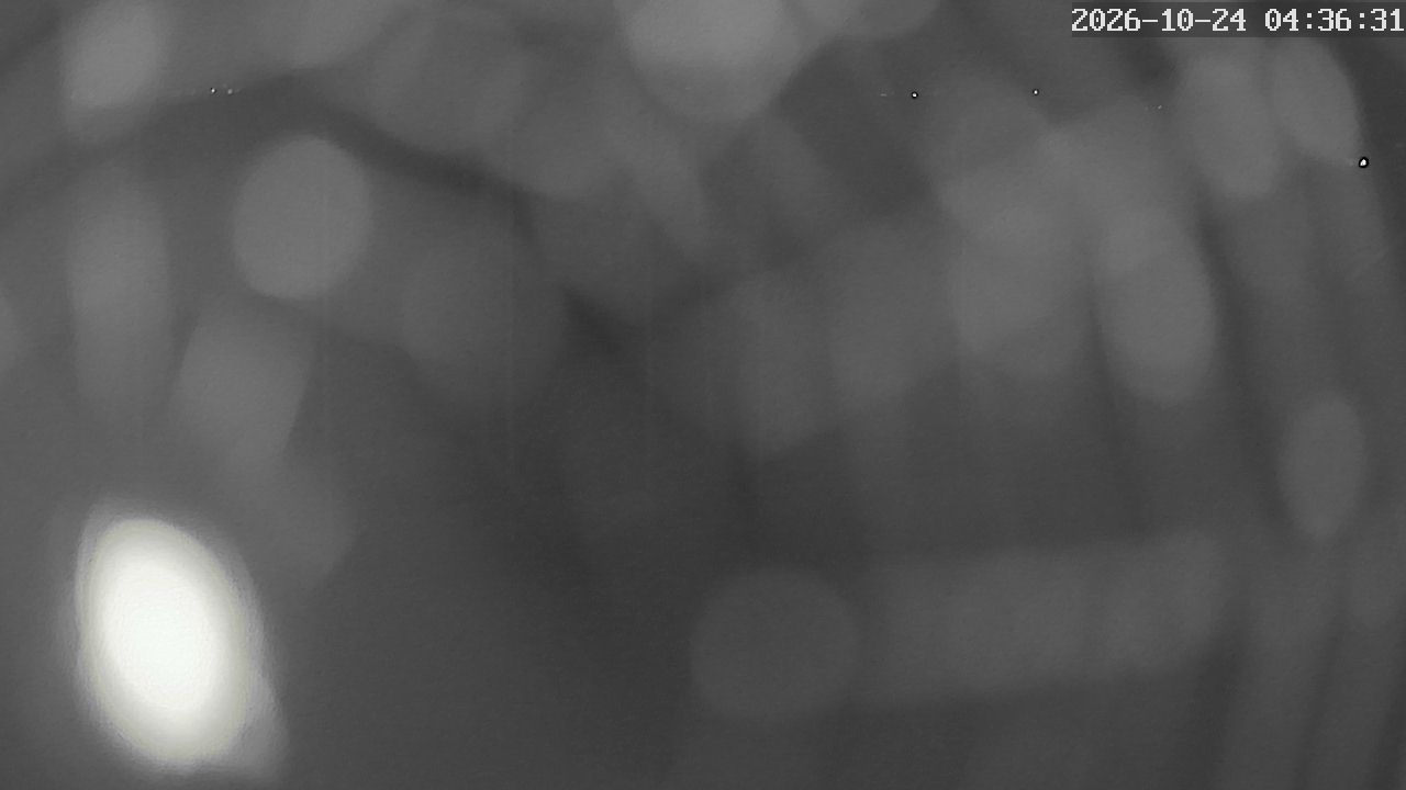 MRSV Bayern Webcam