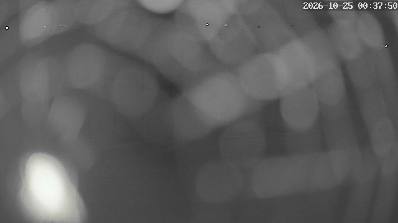 MRSV Bayern Webcam