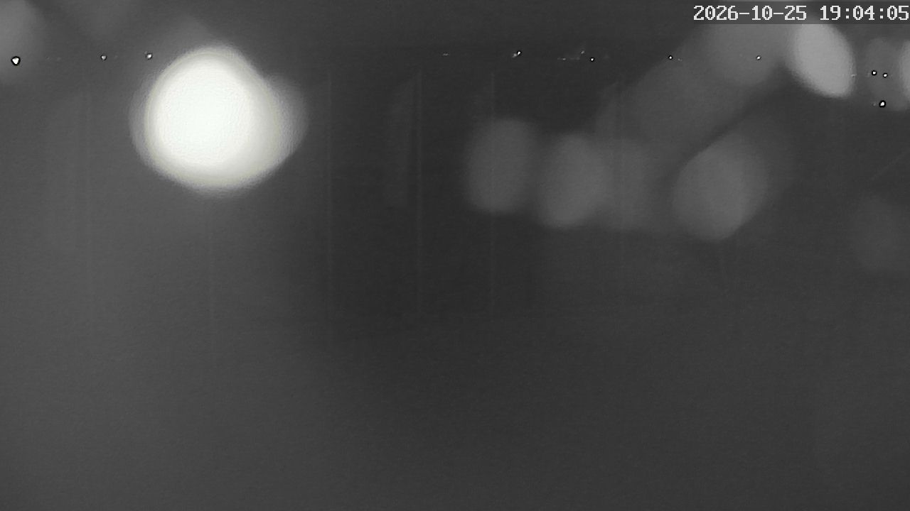 MRSV Bayern Webcam