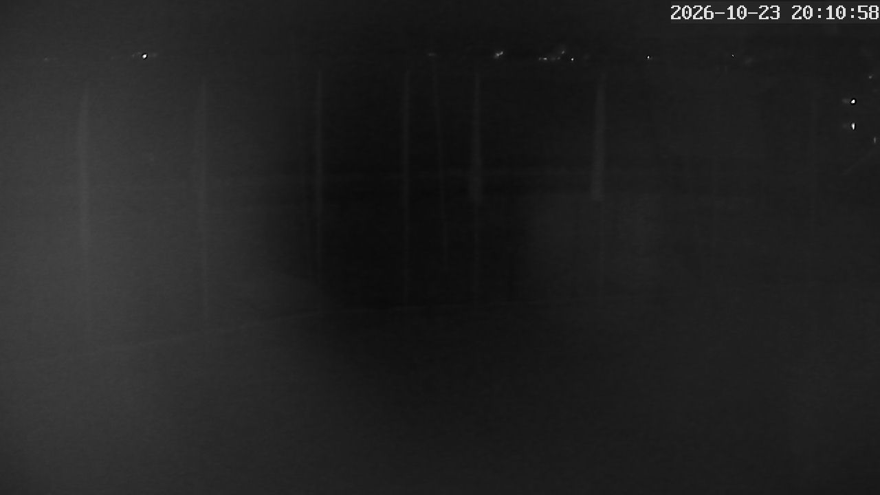 MRSV Bayern Webcam