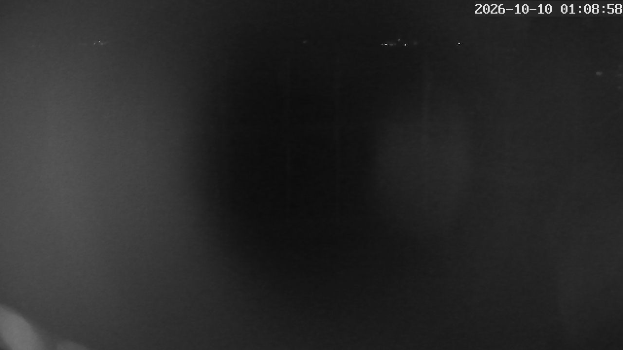 MRSV Bayern Webcam