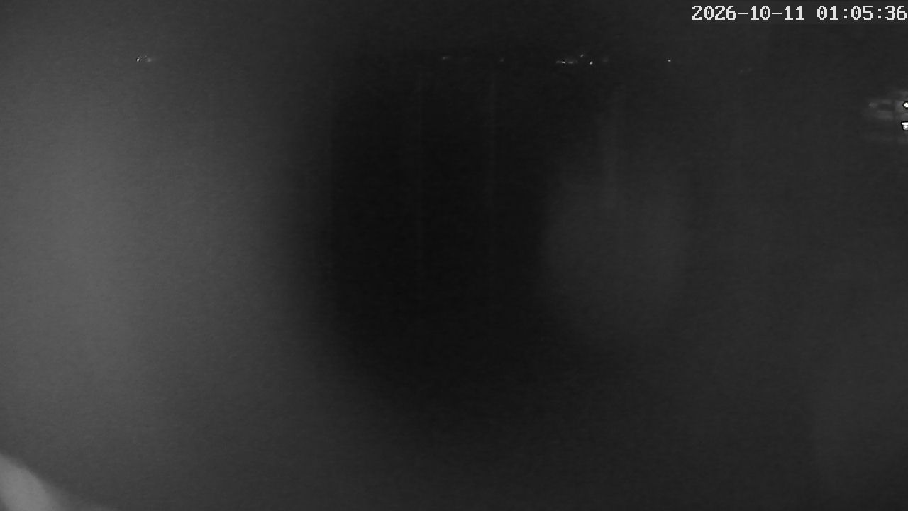 MRSV Bayern Webcam