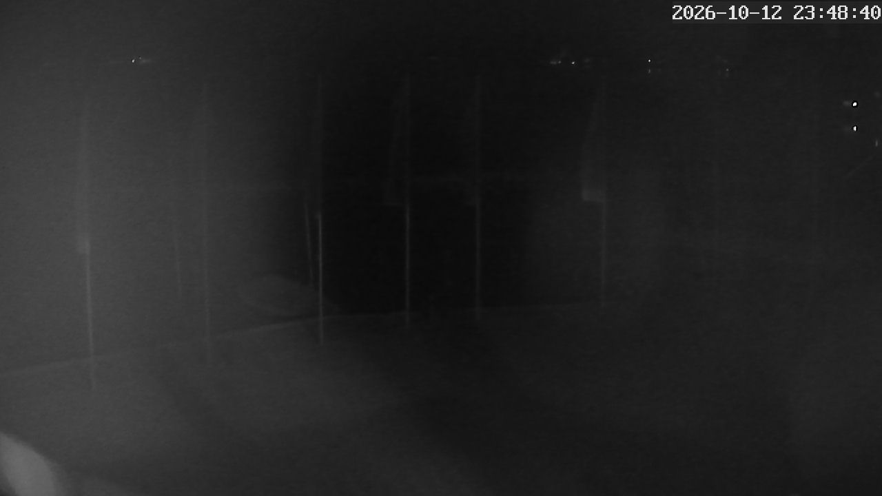 MRSV Bayern Webcam