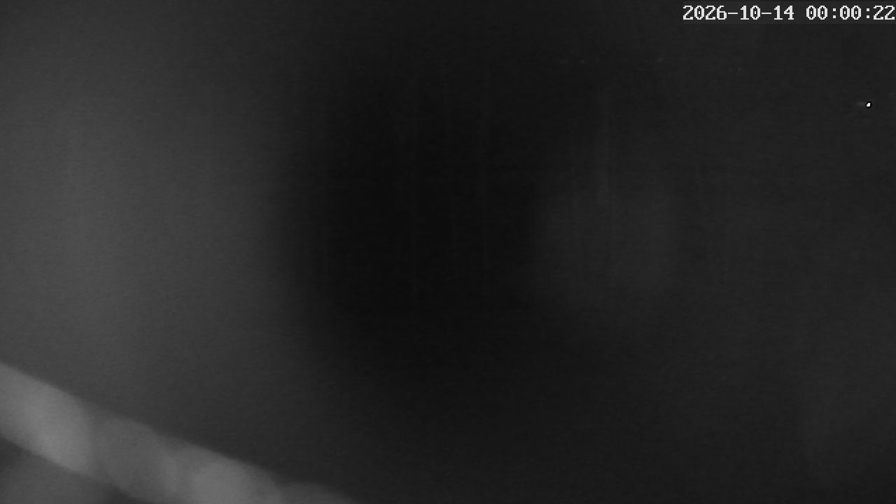 MRSV Bayern Webcam