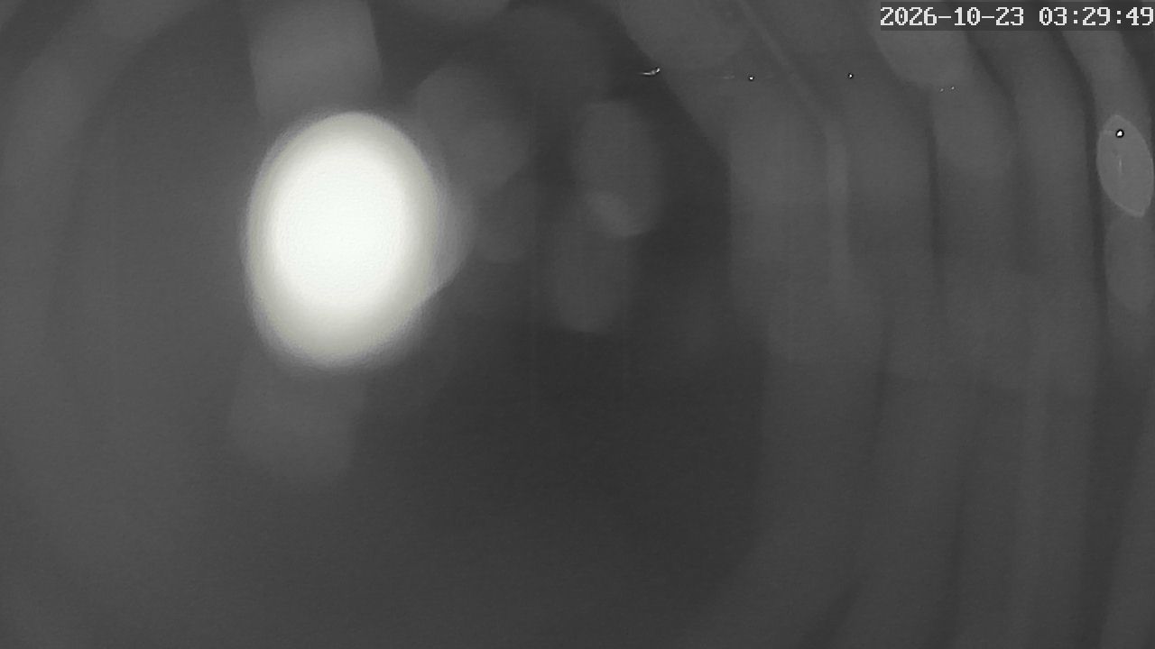 MRSV Bayern Webcam