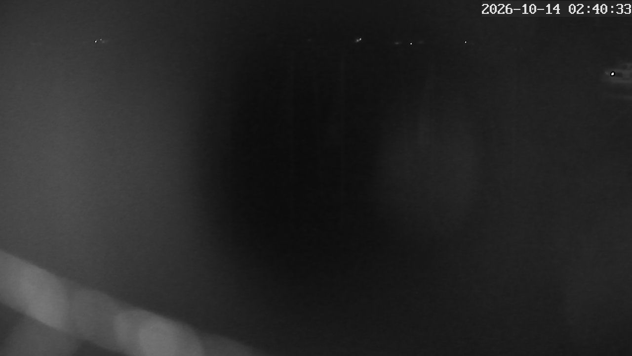 MRSV Bayern Webcam