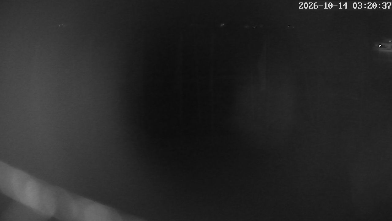 MRSV Bayern Webcam