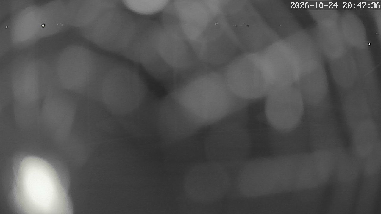MRSV Bayern Webcam