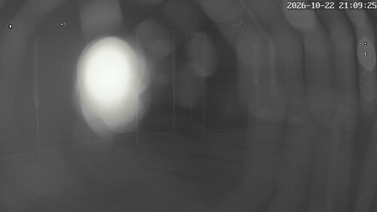 MRSV Bayern Webcam