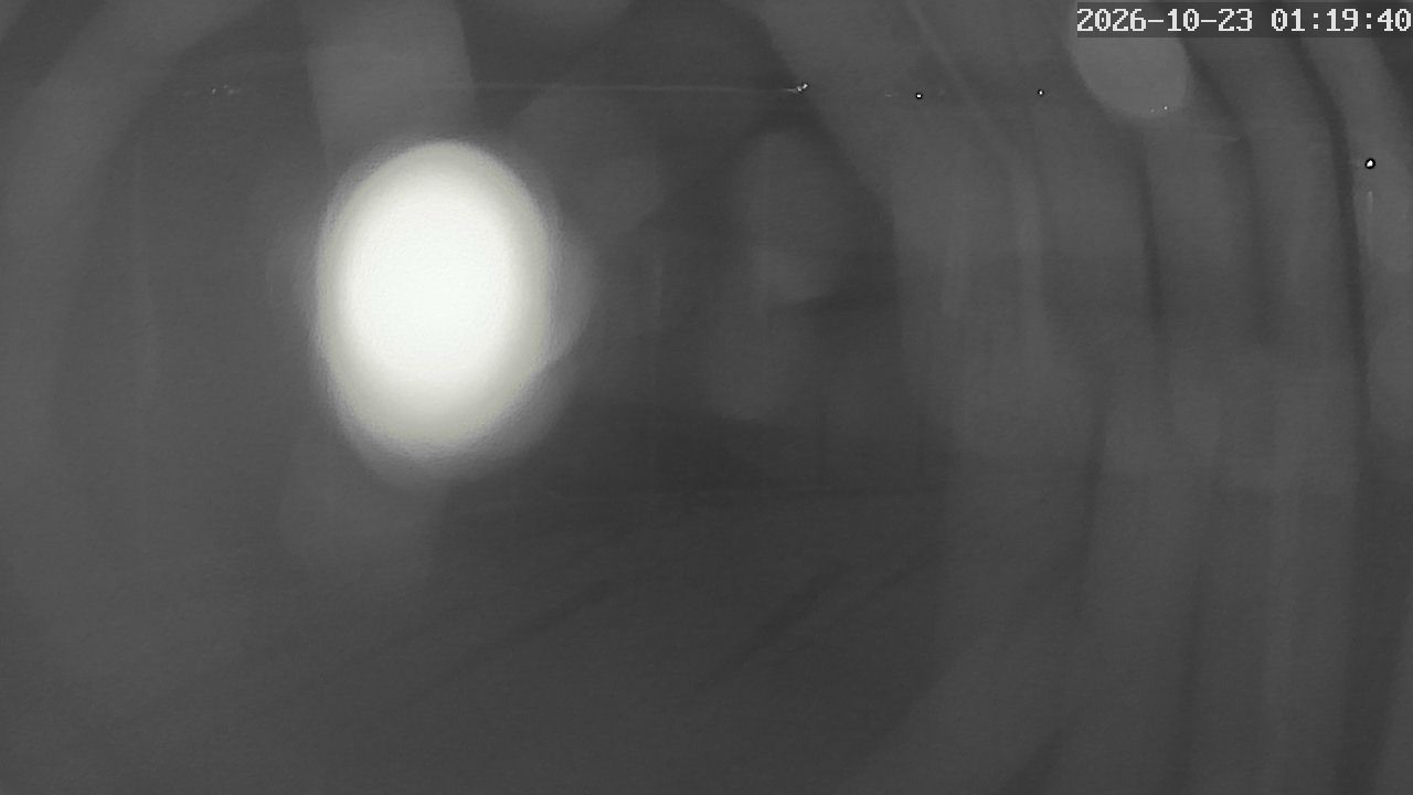 MRSV Bayern Webcam