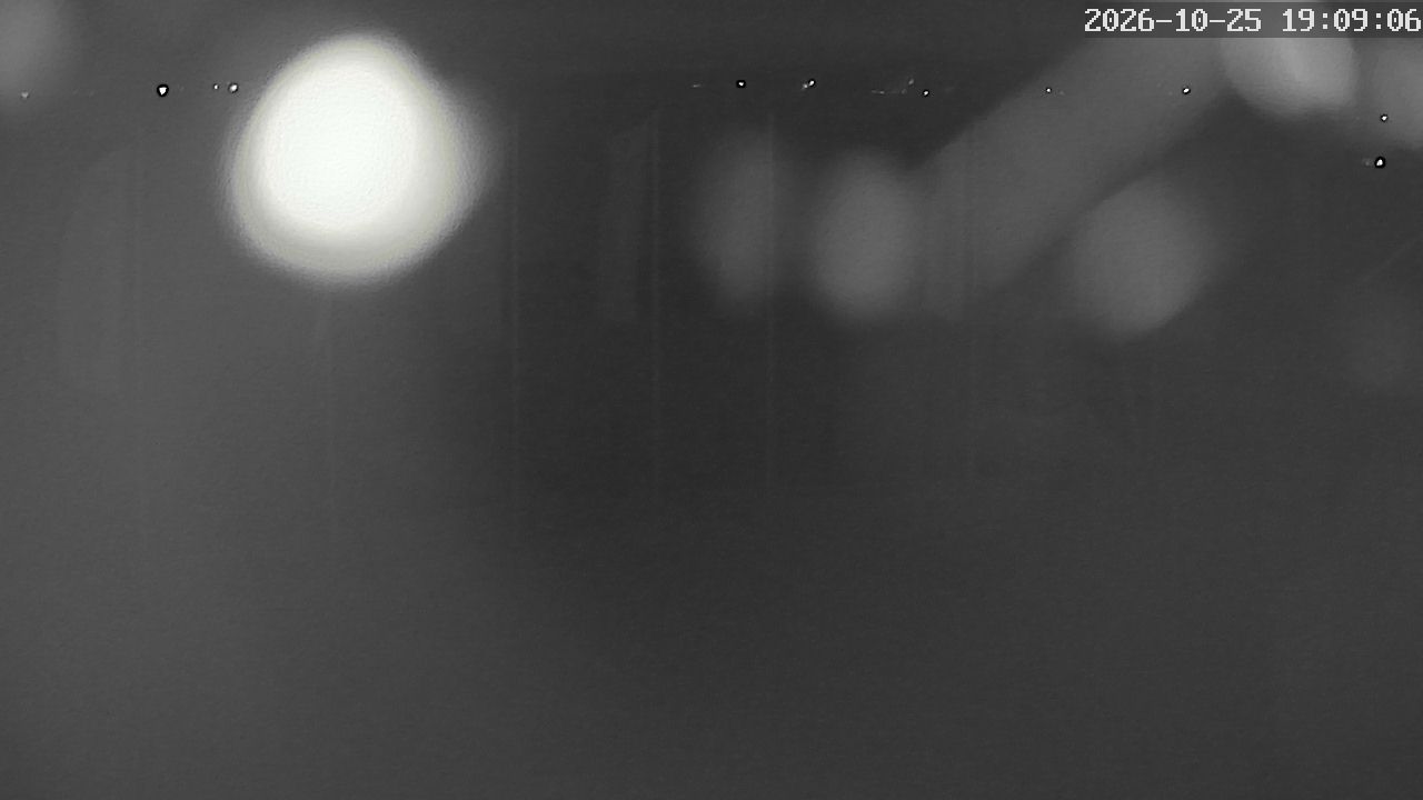 MRSV Bayern Webcam
