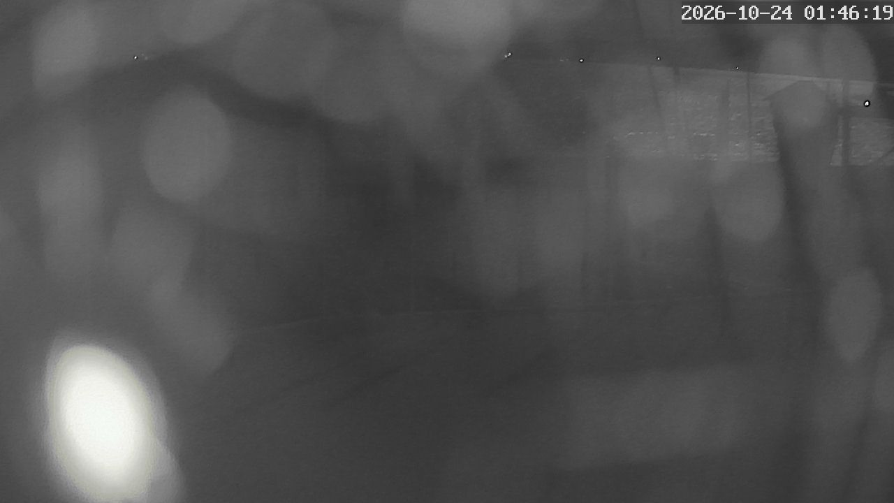 MRSV Bayern Webcam