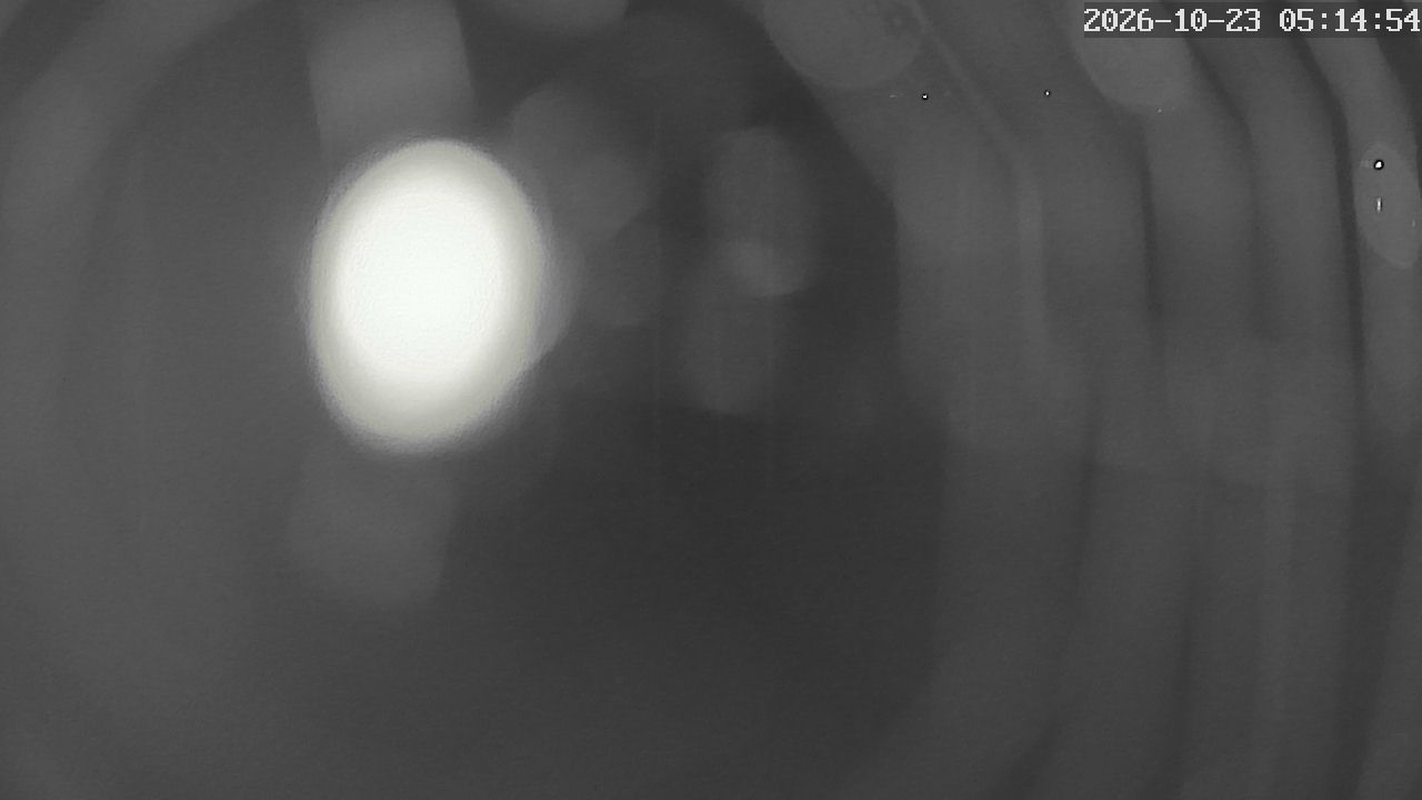 MRSV Bayern Webcam