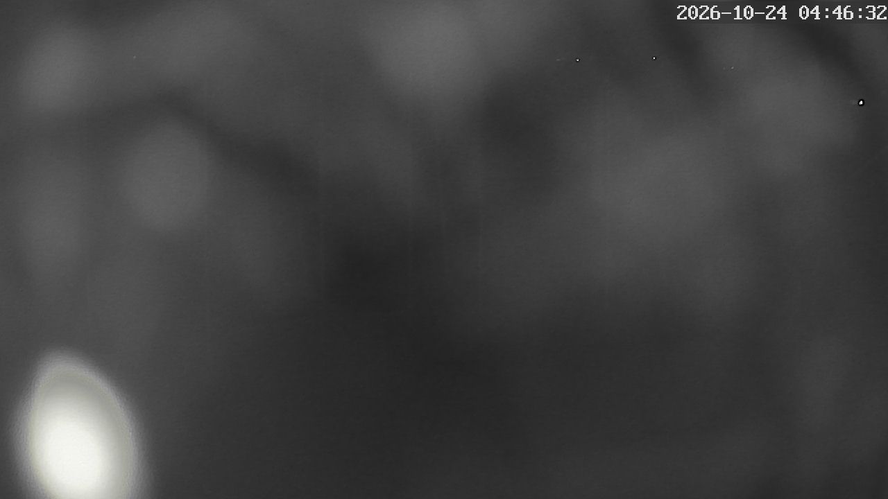MRSV Bayern Webcam