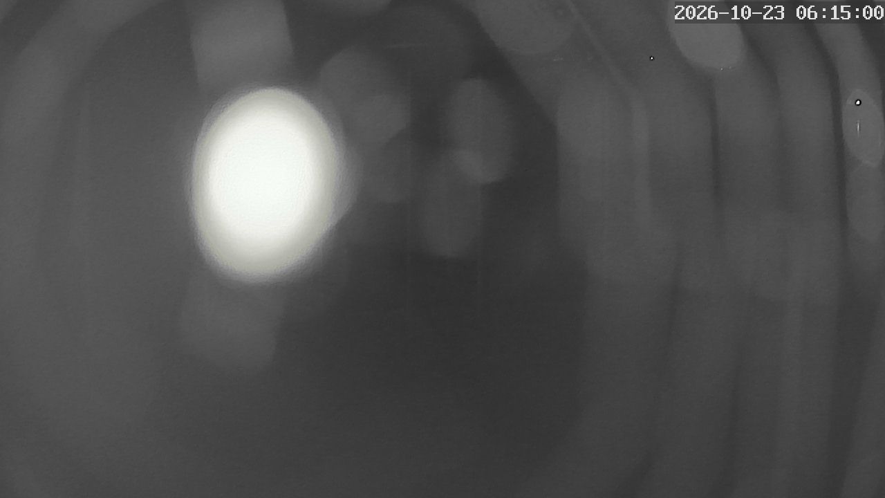 MRSV Bayern Webcam