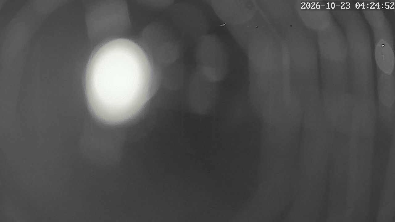MRSV Bayern Webcam