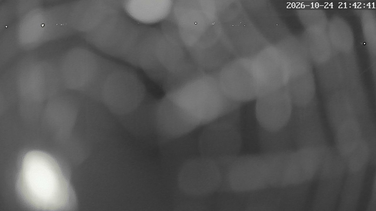 MRSV Bayern Webcam