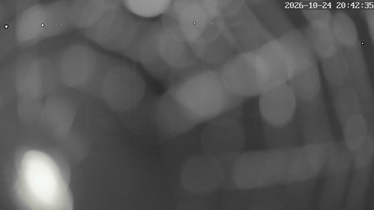 MRSV Bayern Webcam