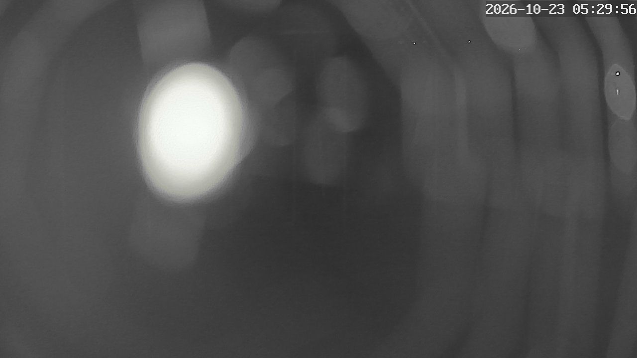 MRSV Bayern Webcam