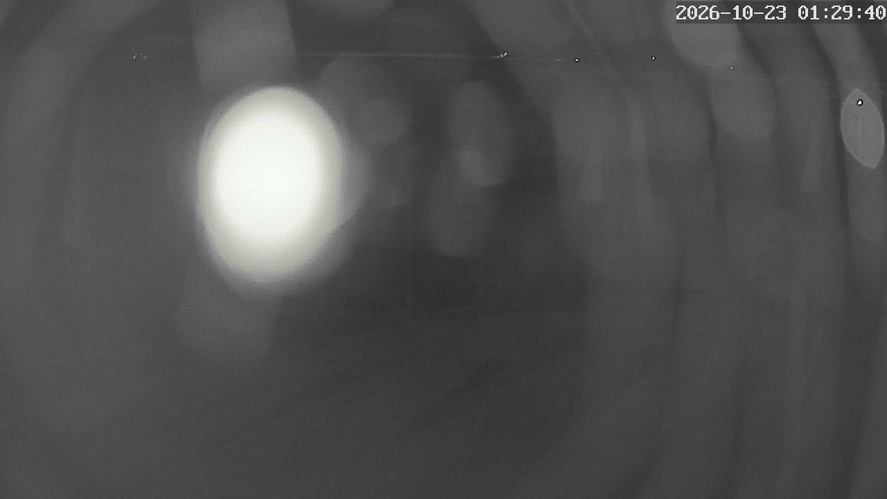 MRSV Bayern Webcam