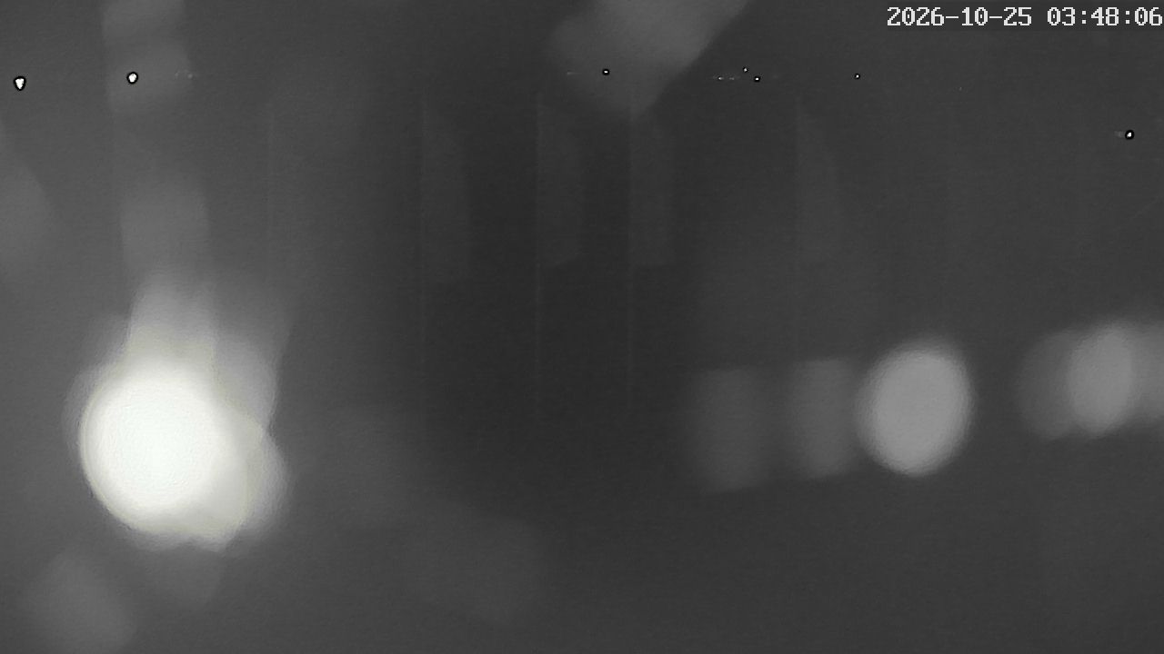 MRSV Bayern Webcam