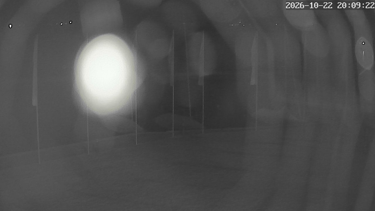 MRSV Bayern Webcam