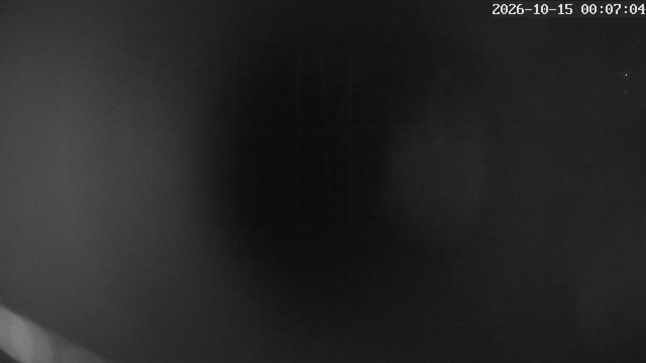 MRSV Bayern Webcam