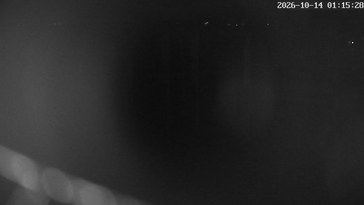 MRSV Bayern Webcam