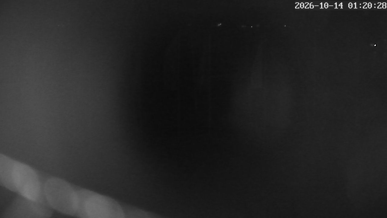 MRSV Bayern Webcam