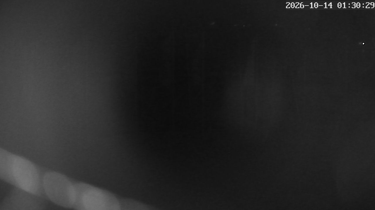 MRSV Bayern Webcam