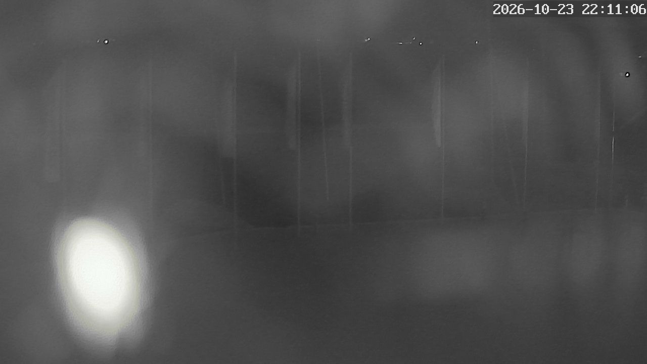 MRSV Bayern Webcam