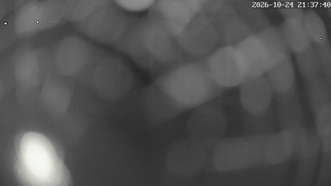 MRSV Bayern Webcam