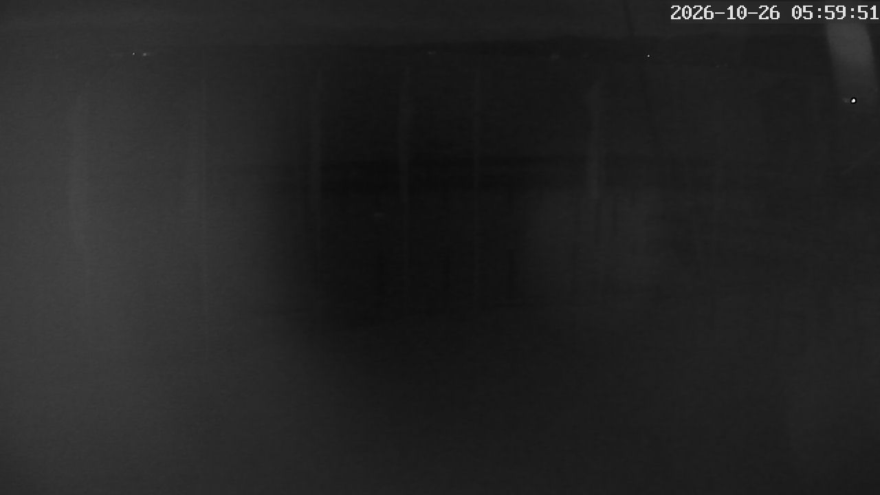 MRSV Bayern Webcam