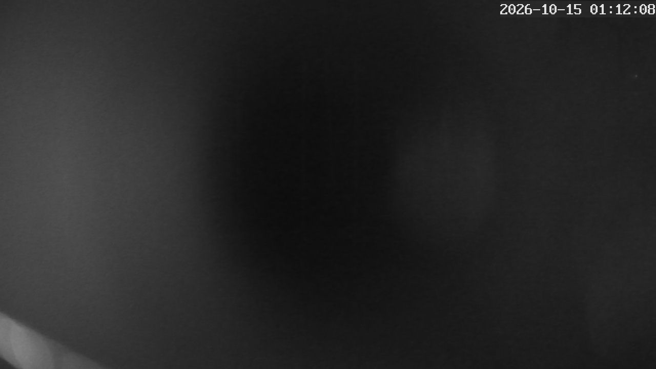 MRSV Bayern Webcam