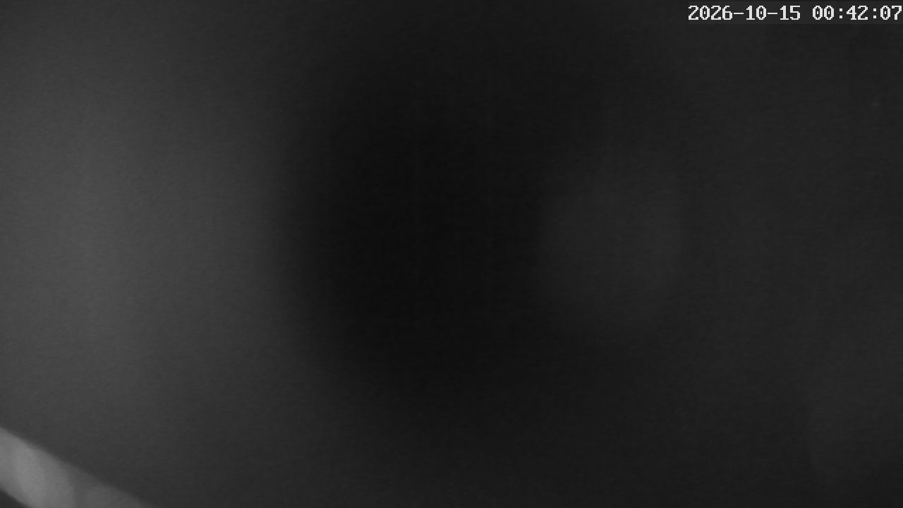 MRSV Bayern Webcam