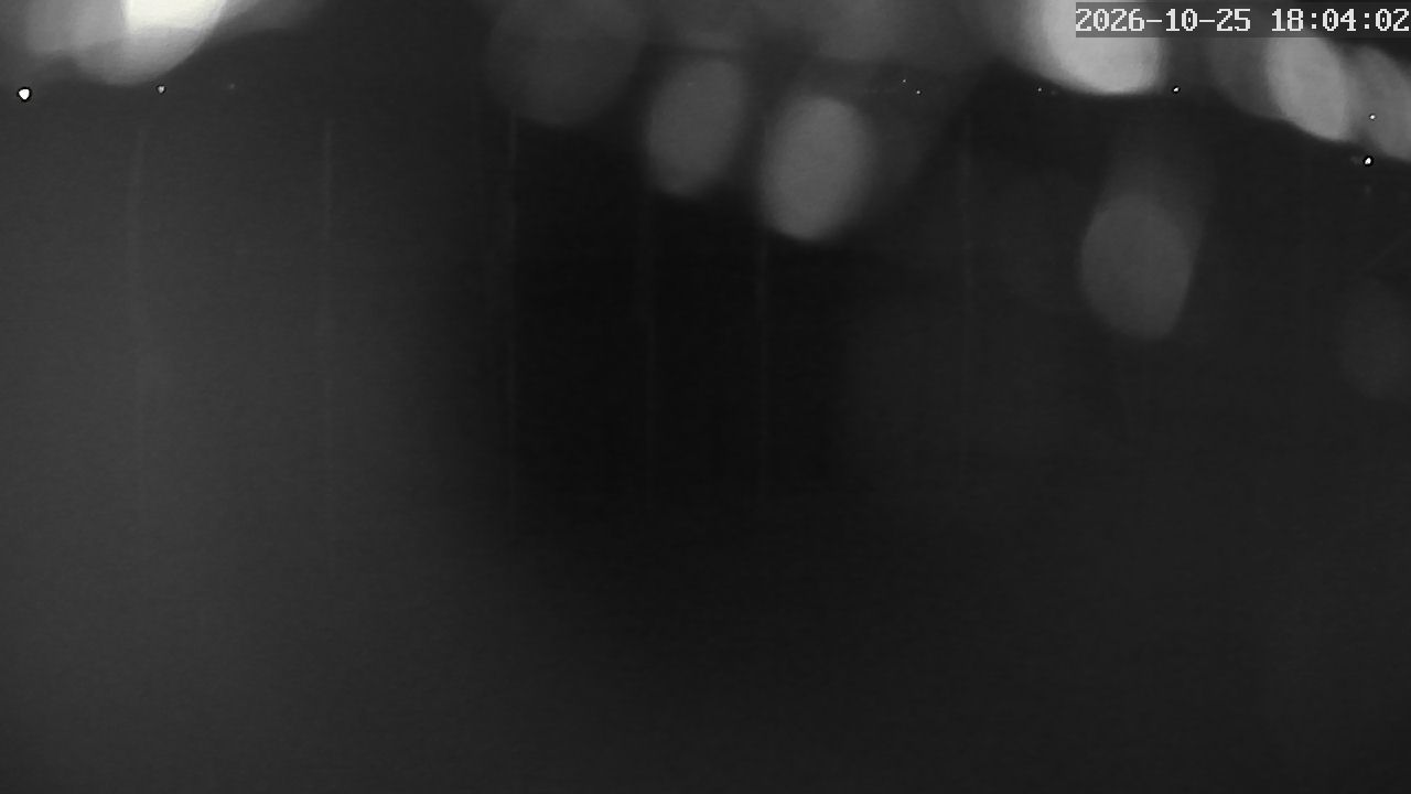 MRSV Bayern Webcam