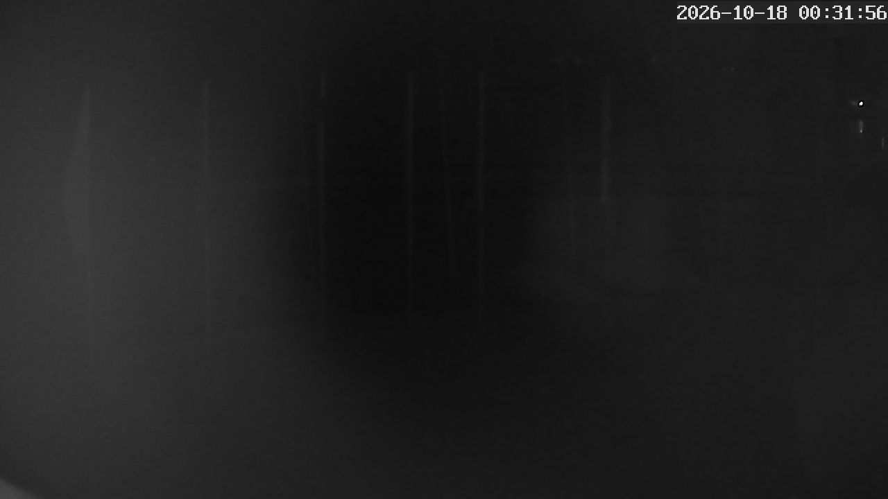 MRSV Bayern Webcam